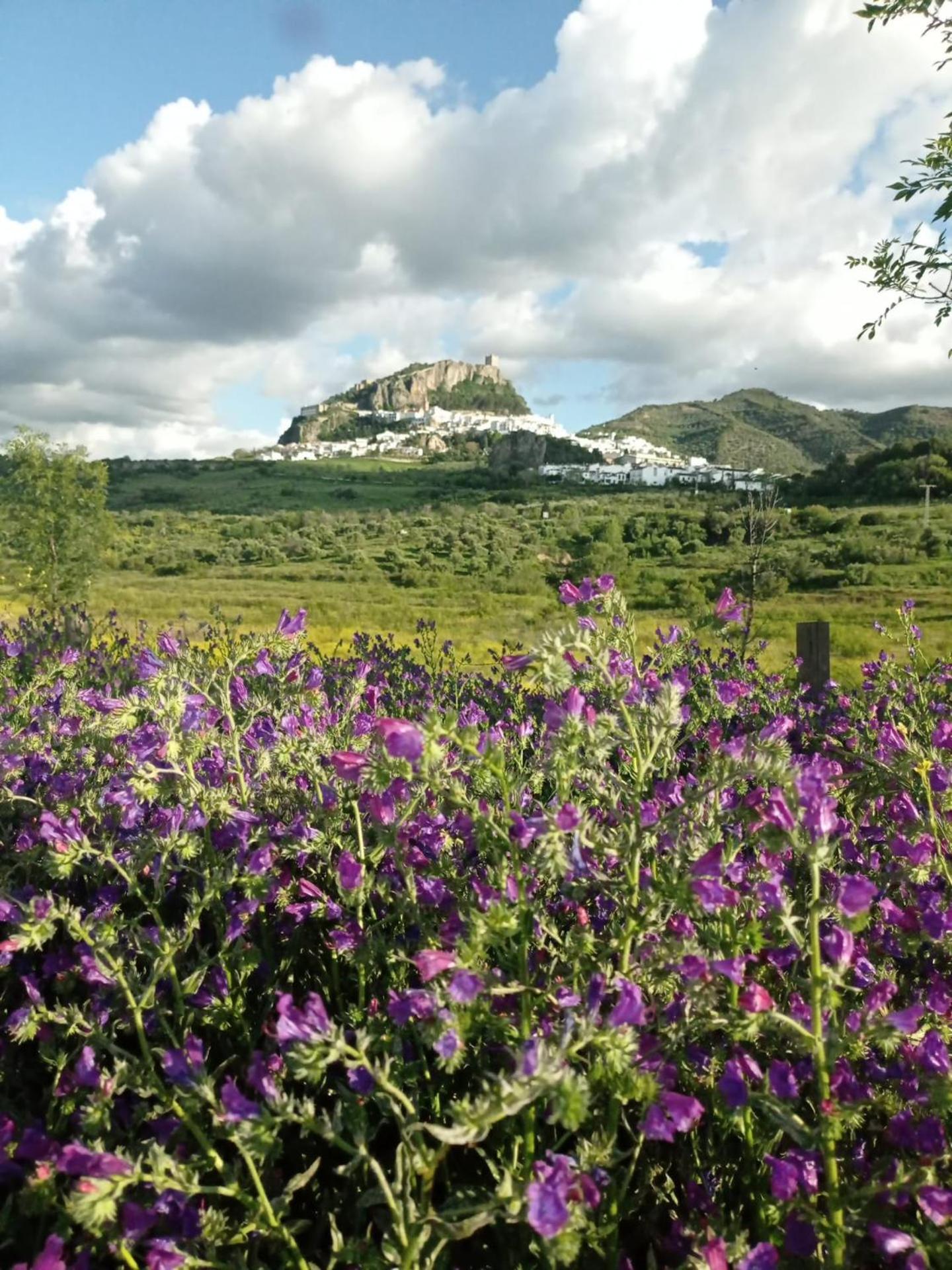 El Detalle Apartamento Y Estudio Zahara De La Sierra Kültér fotó